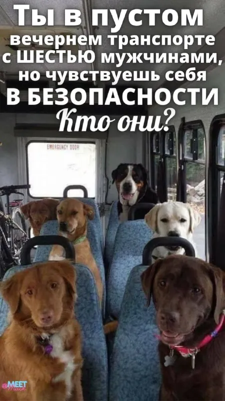 Кто они в пустом автобусе