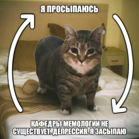 Кафедры мемологии не существует