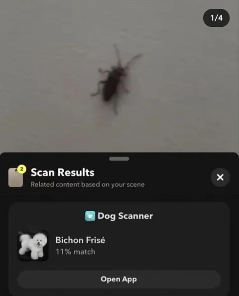 Dog Scanner Sees a Bichon Frisé