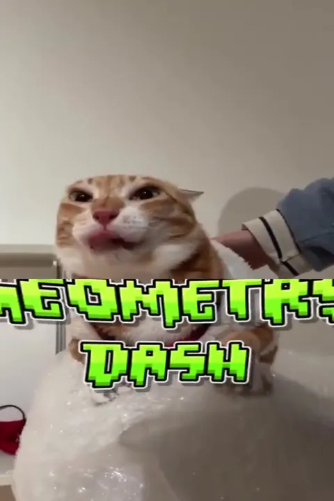 Кот проходит Geometry Dash