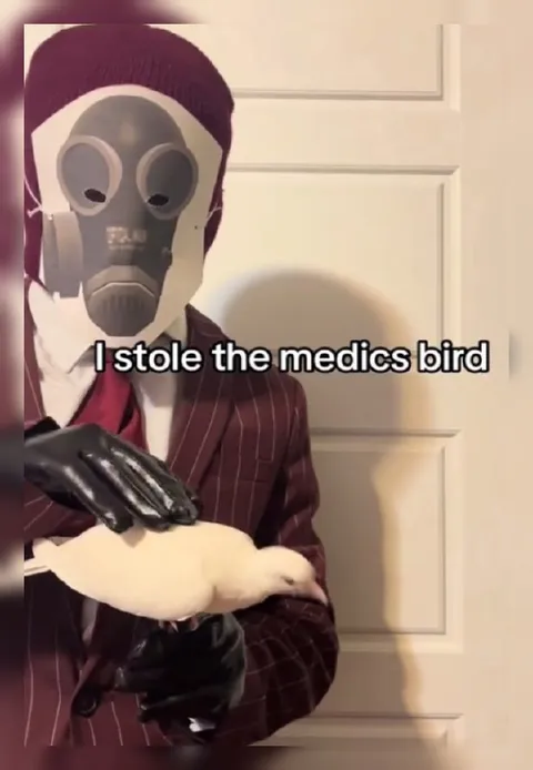 I Stole the Medic's Bird