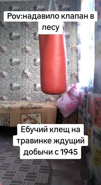 Клещ набросился на грушу