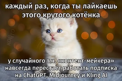 Лайк котёнка ломает подписку