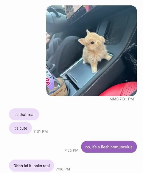 Flesh Homunculus Kitten