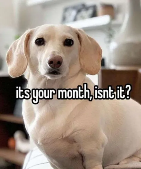 Its Your Month, Isnt It?