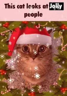 This Cat Looks at Jolly People