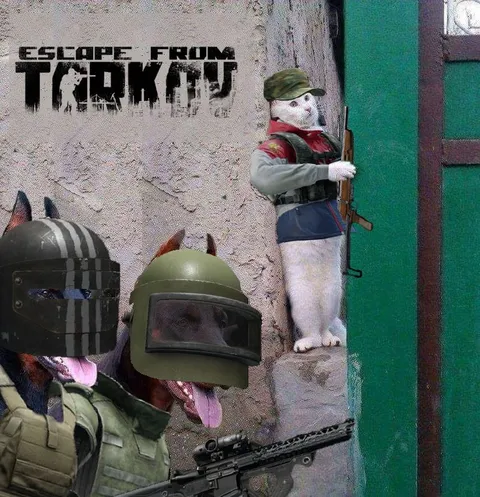 Cats Escape from Tarkov
