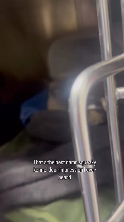 Cat Mimics a Squeaky Kennel Door