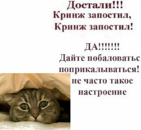 Кринж запостил — настроение