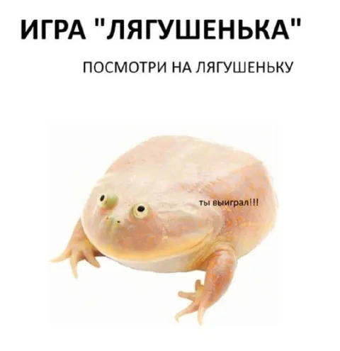 Игра «Лягушенька»