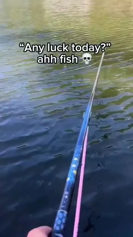Any Luck Today, Fish Says No