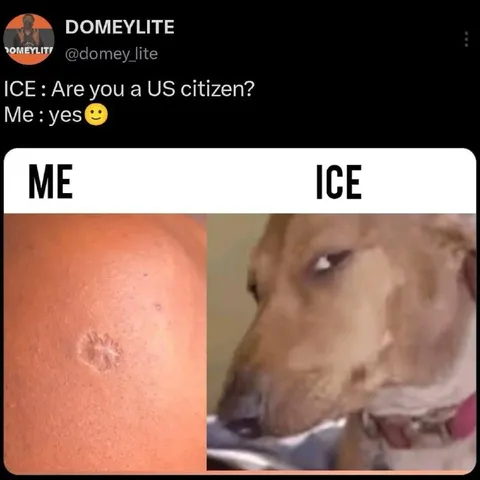 ICE Asks About Citizenship