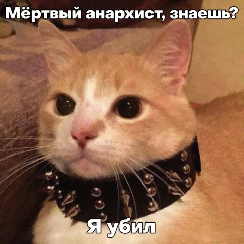 Мёртвый анархист, знаешь?
