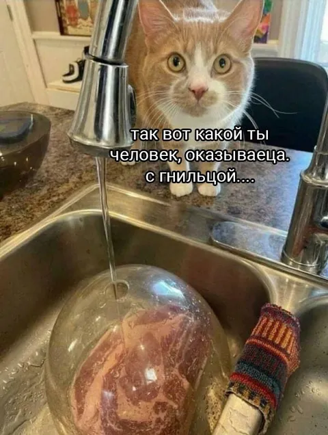 Человек с гнильцой