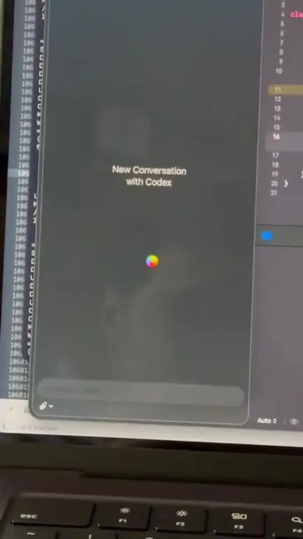 New Conversation With Codex Loading