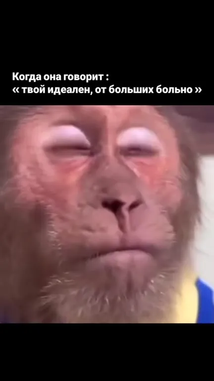 Когда она говорит «твой идеален»