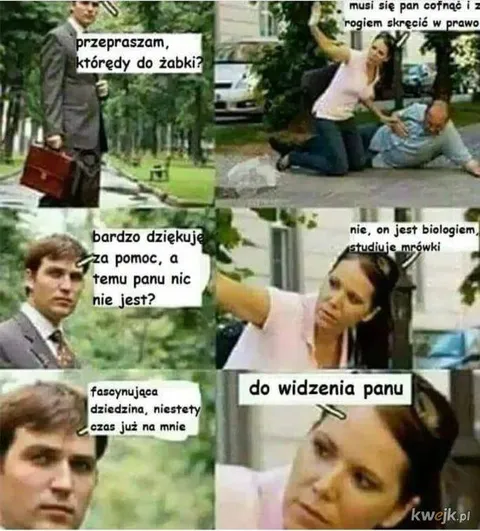 Pytanie o drogę do Żabki