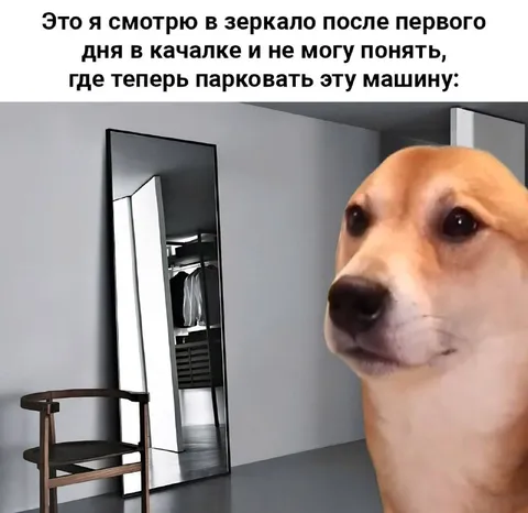 Первый день в качалке