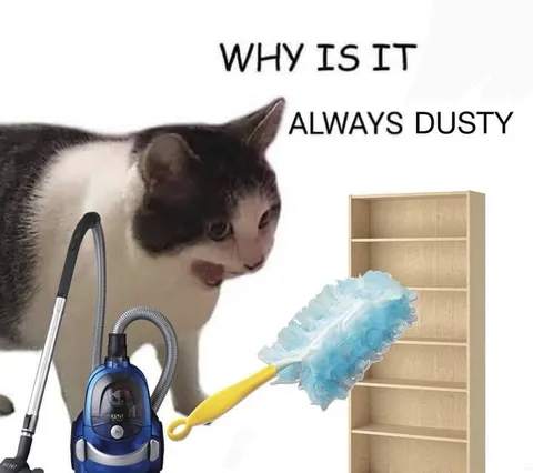 Why Is It Always Dusty