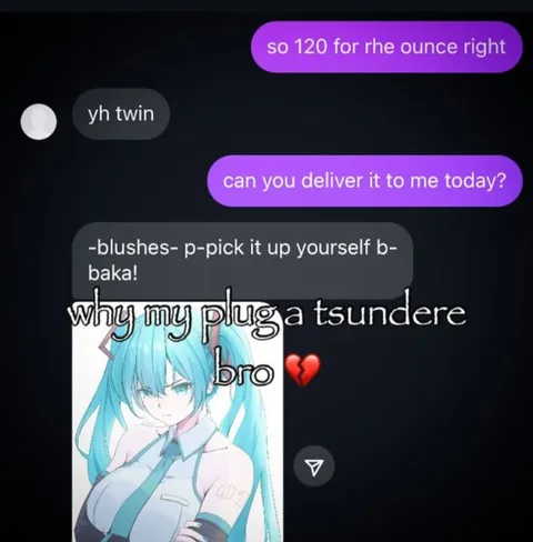 Why My Plug a Tsundere Bro