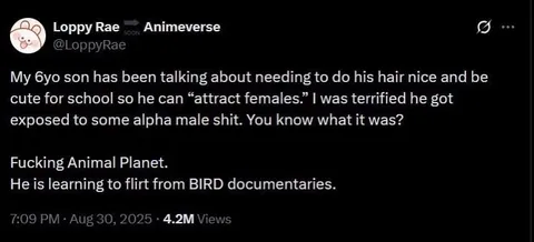 Learning to Flirt from Bird Documentaries