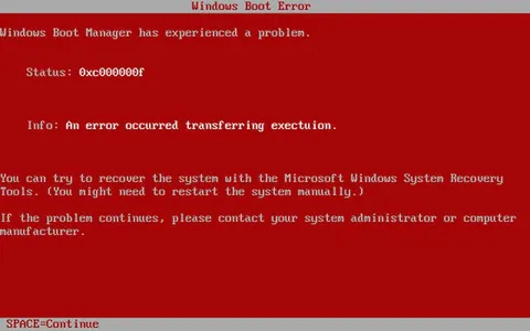 Windows Boot Error Screen