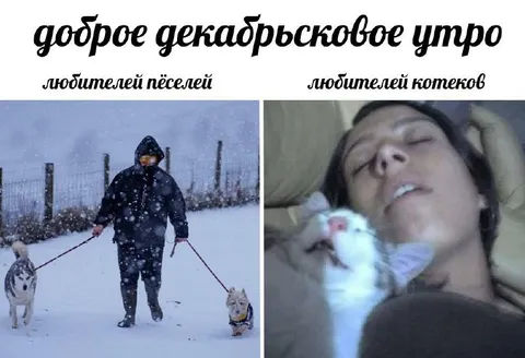 Доброе декабрьское утро