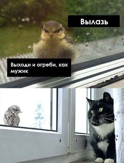 Вылазь, выходи и огреби