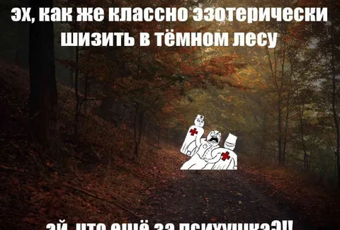 Эзотерически шизить в лесу