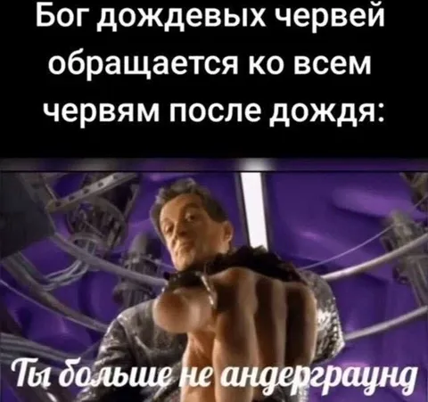 Бог дождевых червей после дождя