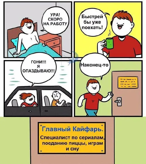 Главный кайфарь опаздывает на работу