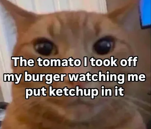 Tomato Watching Ketchup