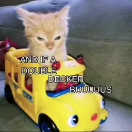 Cats Sing About a Double-Decker Bus