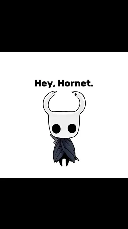 Hornet Silksong Release Date