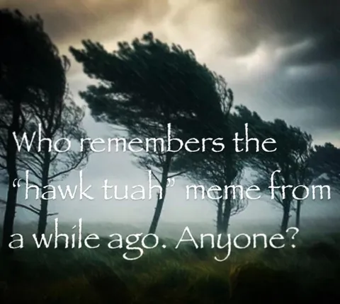 Who Remembers Hawk Tuah