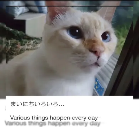 毎日いろいろ起こる