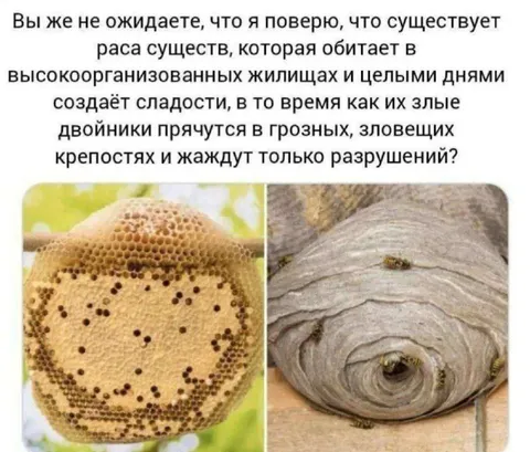 Пчёлы и злые двойники