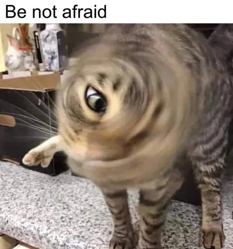 Be Not Afraid Cat