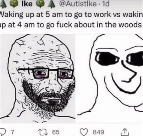 Waking Up to Work vs Woods