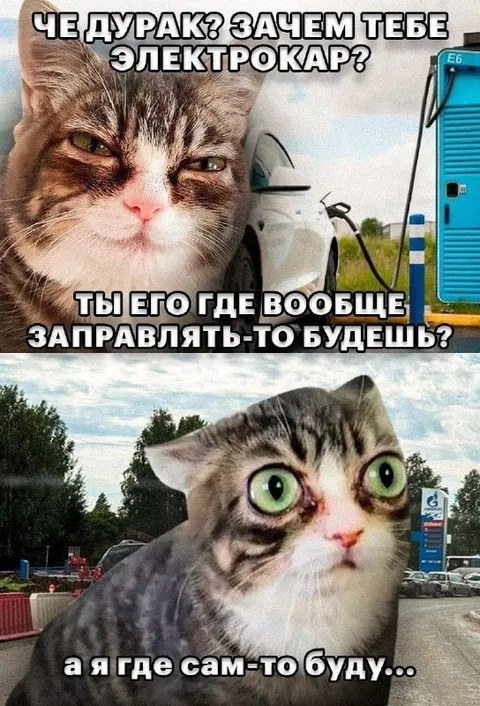 Кот не знает, где зарядить электрокар
