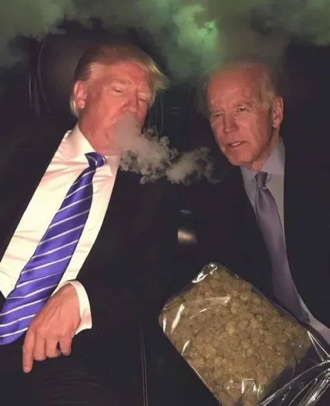 Трамп и Байден с травой