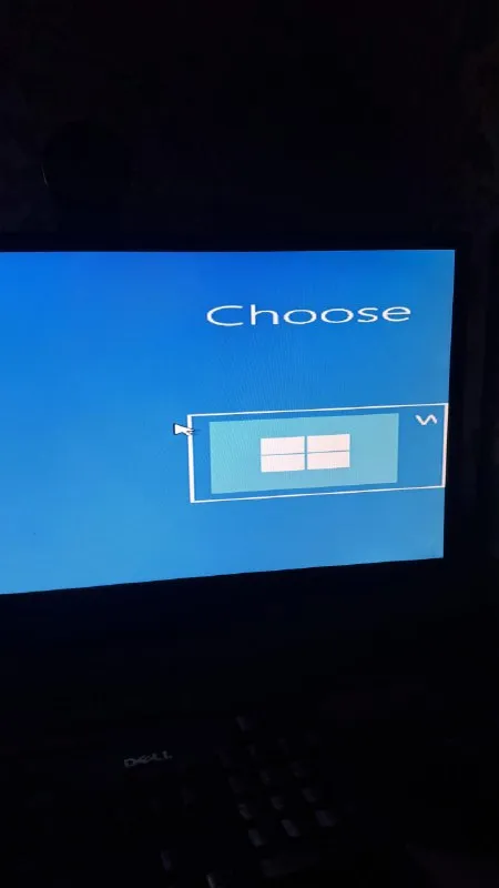 Choose Your Windows