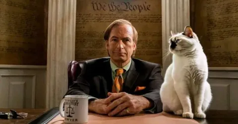 Saul Goodman and the Lawyer Cat
