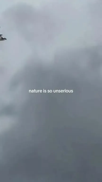 Nature Is So Unserious