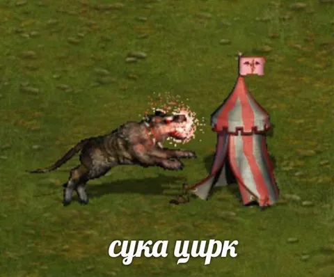 Сука щцрк у палатки