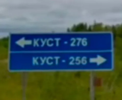 Указатели на кусты