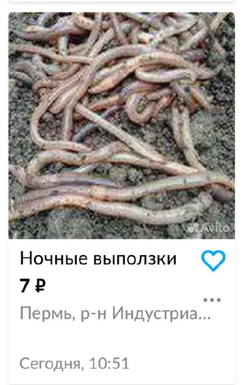 Ночные выползки за 7 рублей