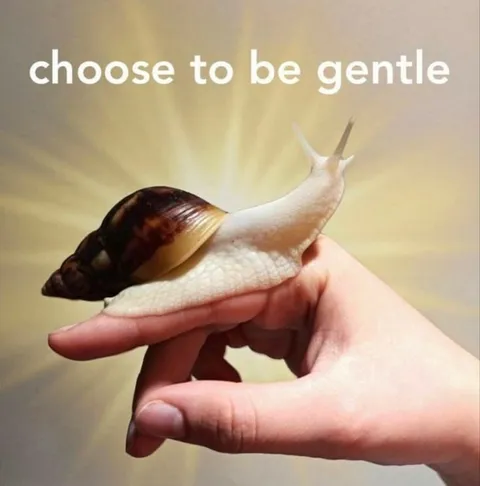 Choose to Be Gentle Snail
