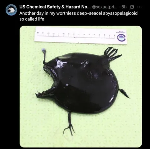 Worthless Abyssopelagic Life