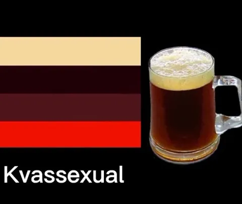 Kvassexual Beer Meme